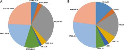 Development of Long-Duration Energy Storage Projects in Electric Power Systems in the United States: A Survey of Factors Which Are Shaping the Market